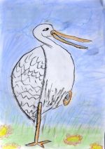 Pončaková Stela.jpg